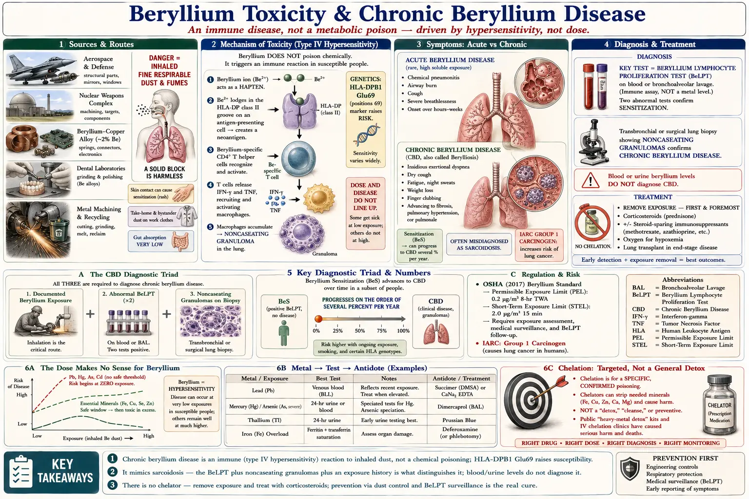 Beryllium — scientific infographic poster