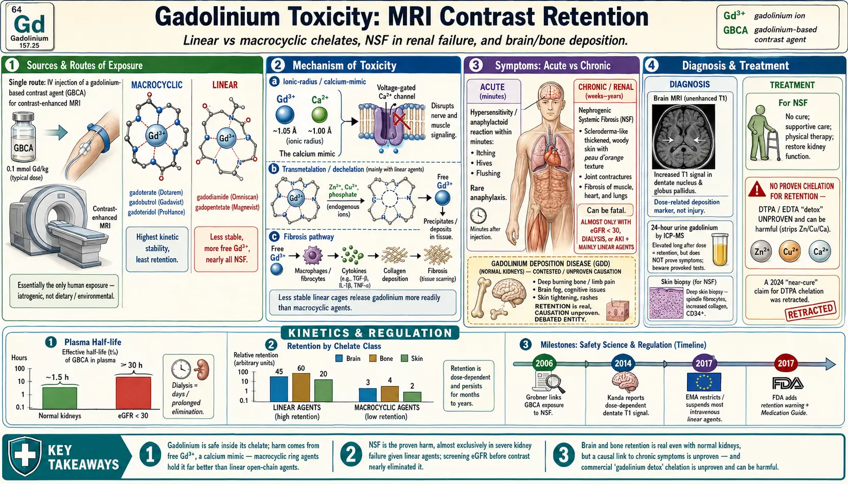 Gadolinium — scientific infographic poster