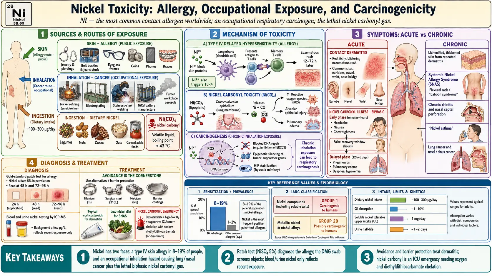 Nickel — scientific infographic poster