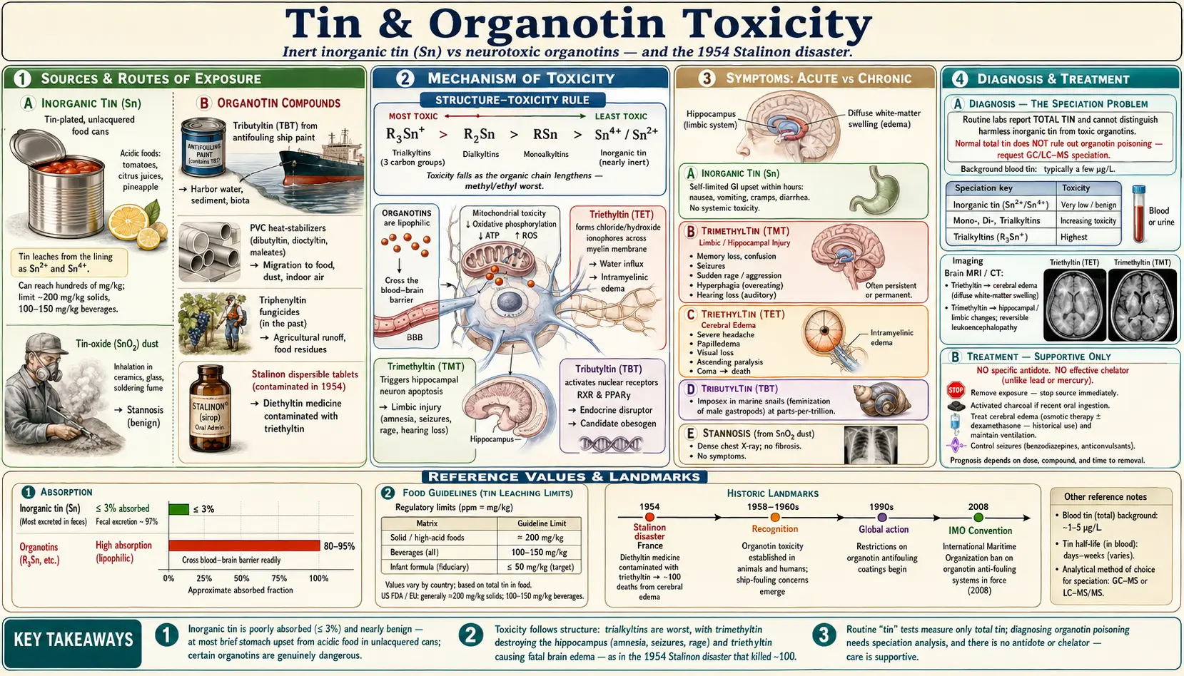 Tin — scientific infographic poster