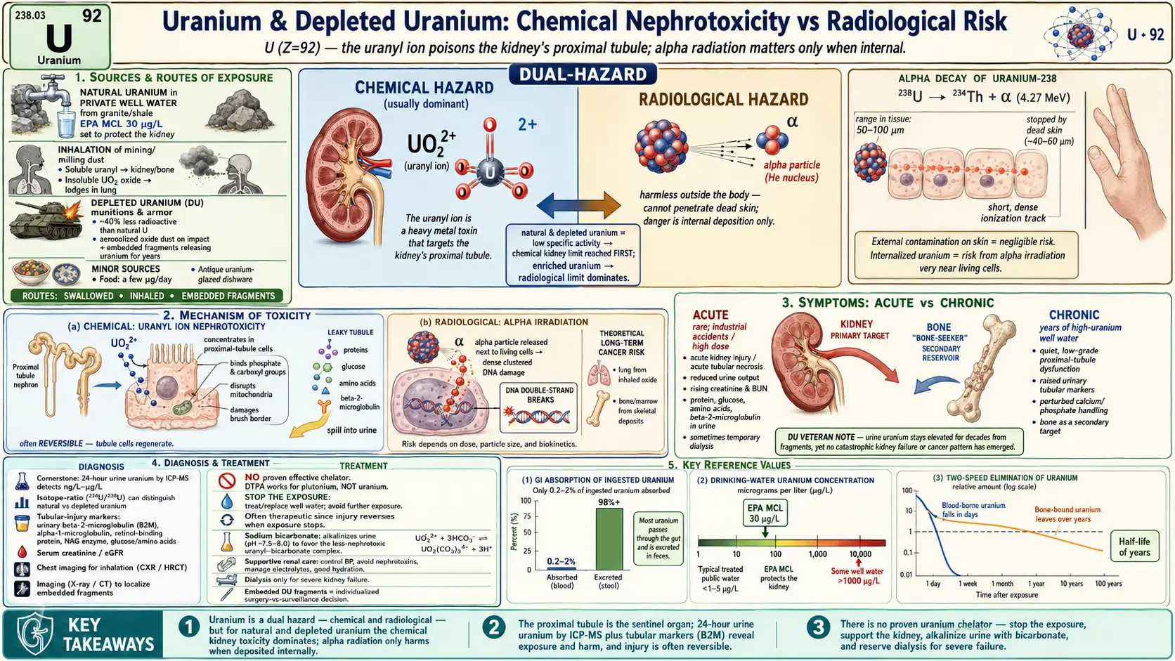 Uranium — scientific infographic poster