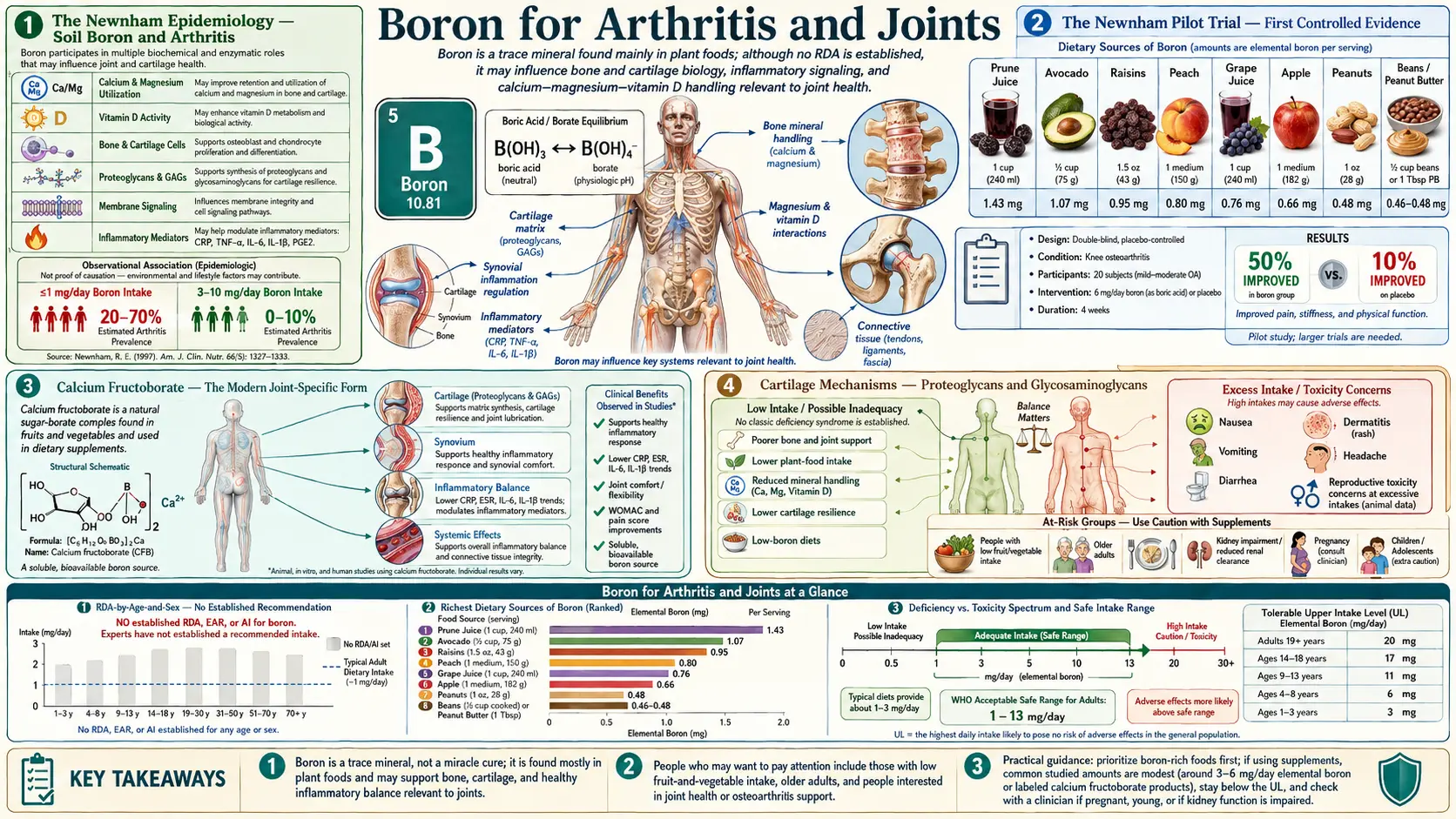 Arthritis and Joints — scientific infographic poster