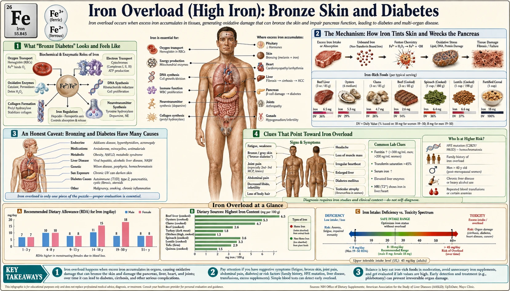 Skin Bronzing and Diabetes — scientific infographic poster