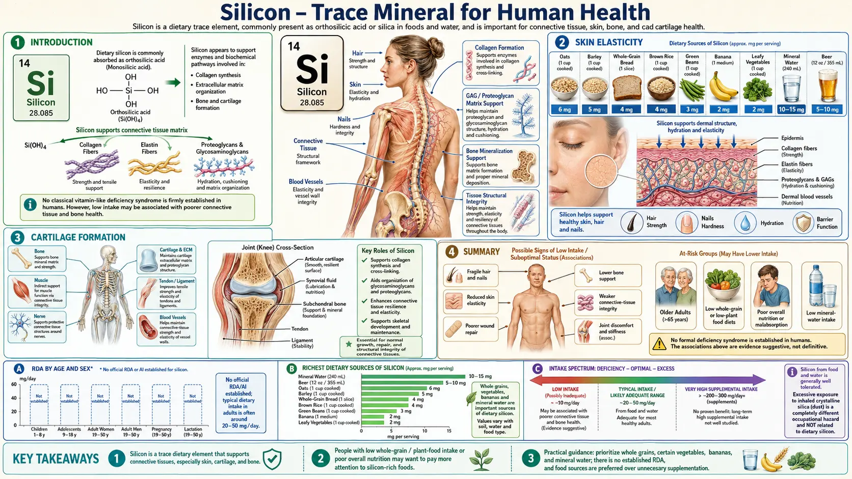Silicon — scientific infographic poster