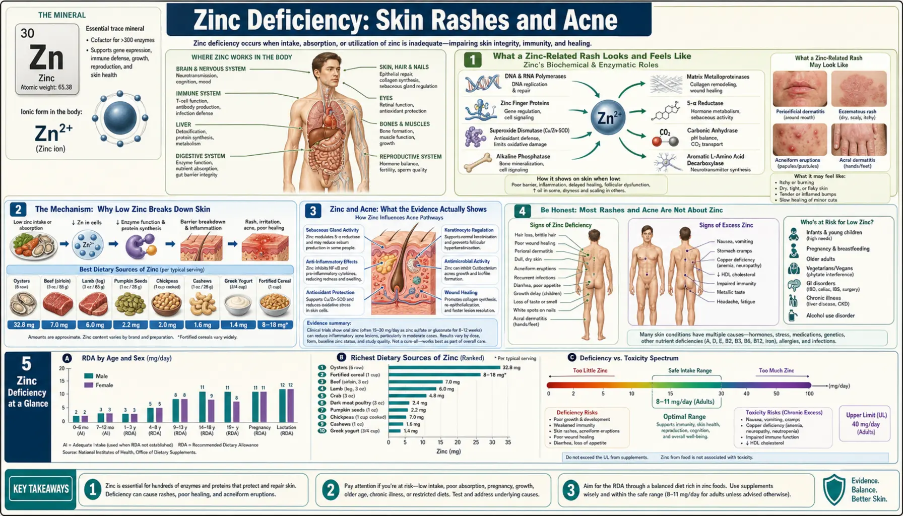 Skin Rashes and Acne — scientific infographic poster