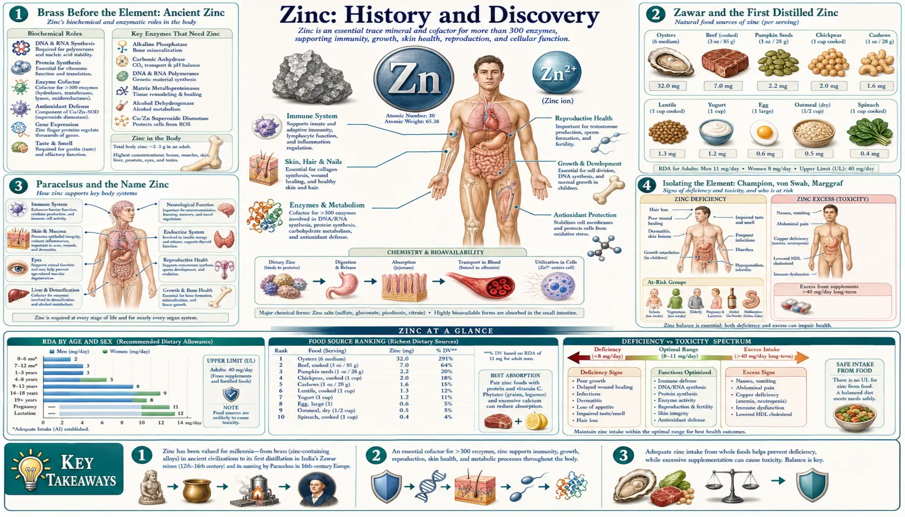 History — scientific infographic poster