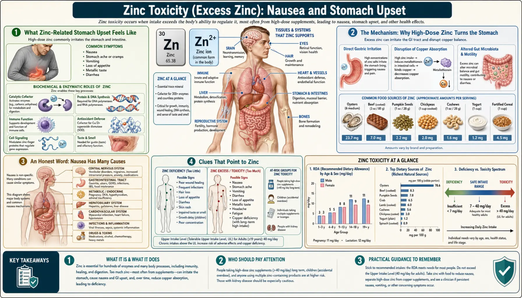 Nausea and Stomach Upset — scientific infographic poster