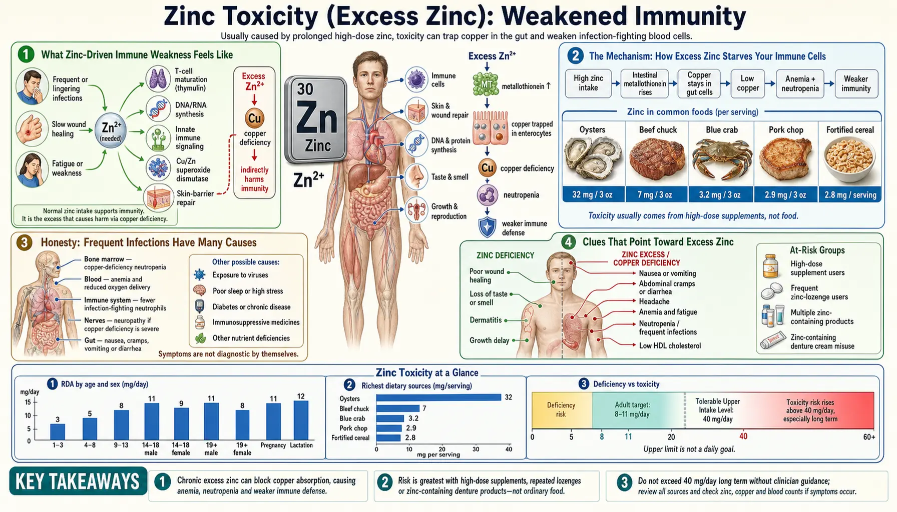 Weakened Immunity — scientific infographic poster