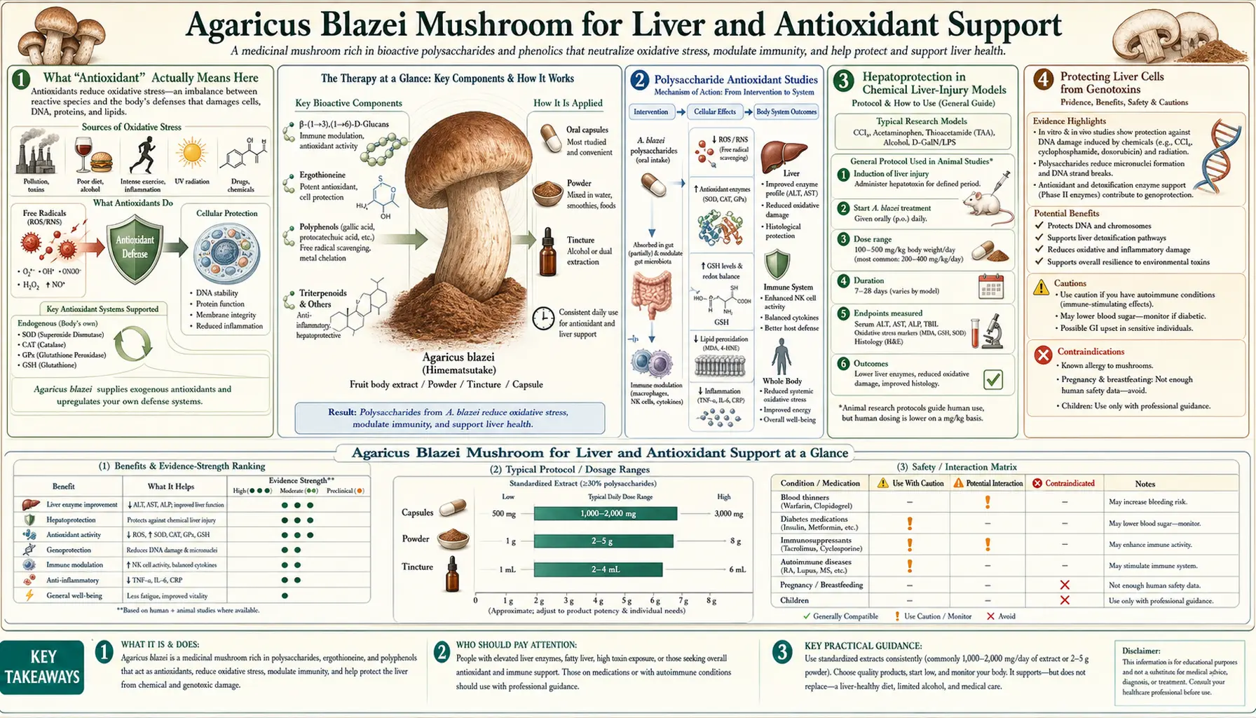 Liver and Antioxidant Support — scientific infographic poster