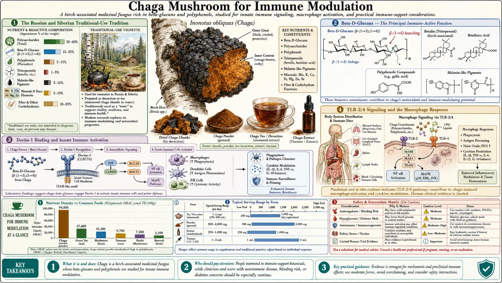 Immune Modulation — scientific infographic poster
