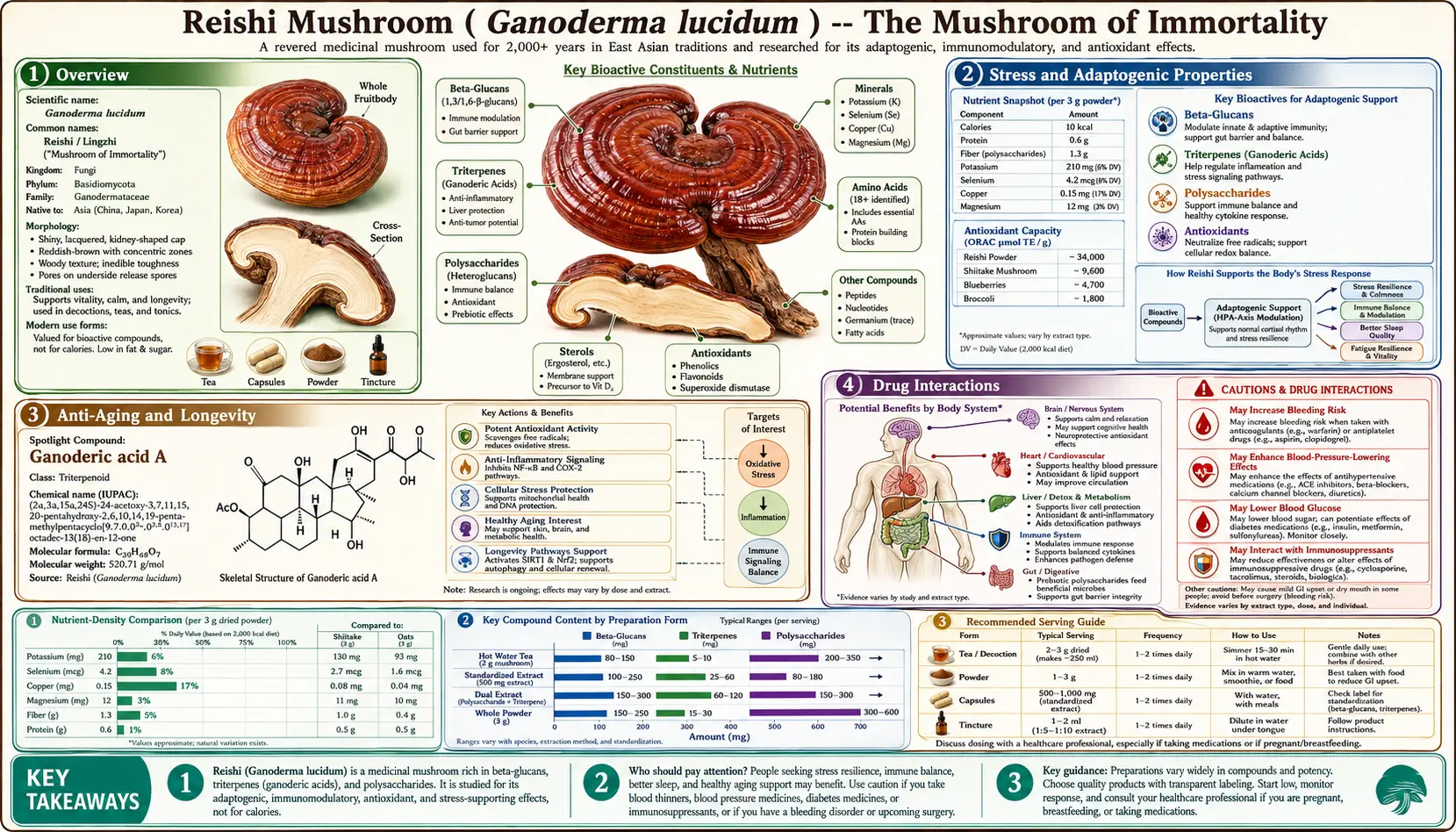 Reishi Mushroom — scientific infographic poster