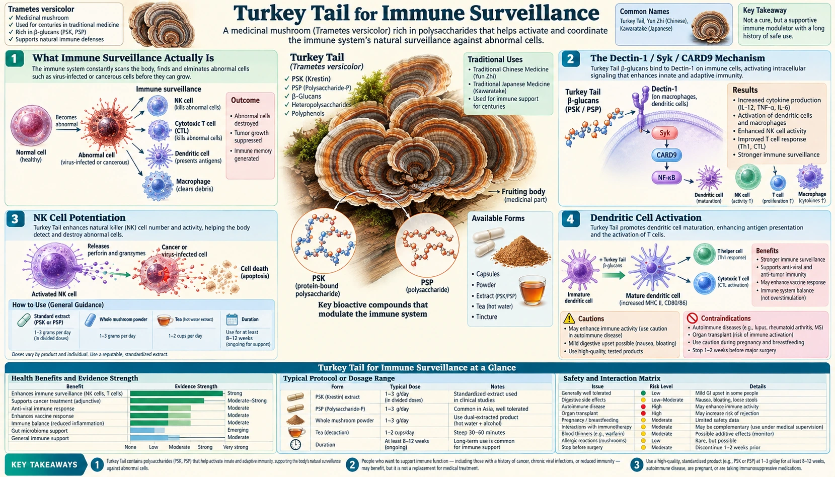 Immune Surveillance — scientific infographic poster