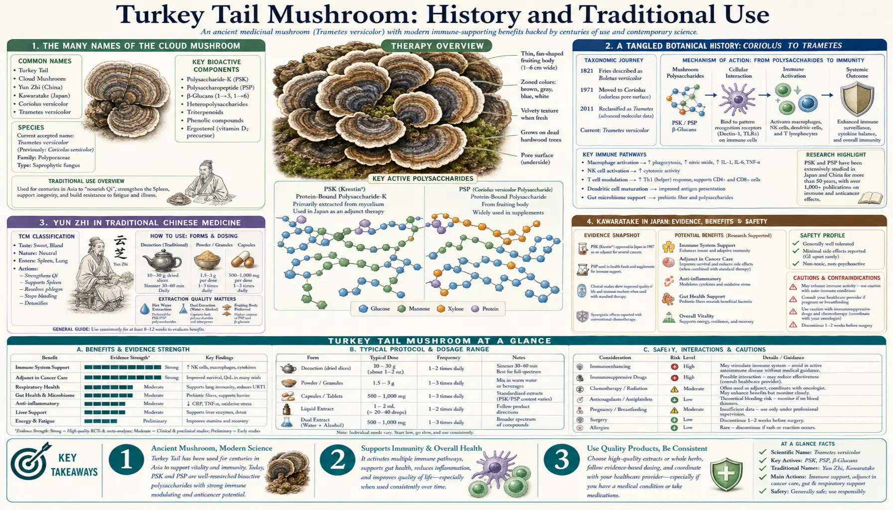 History — scientific infographic poster