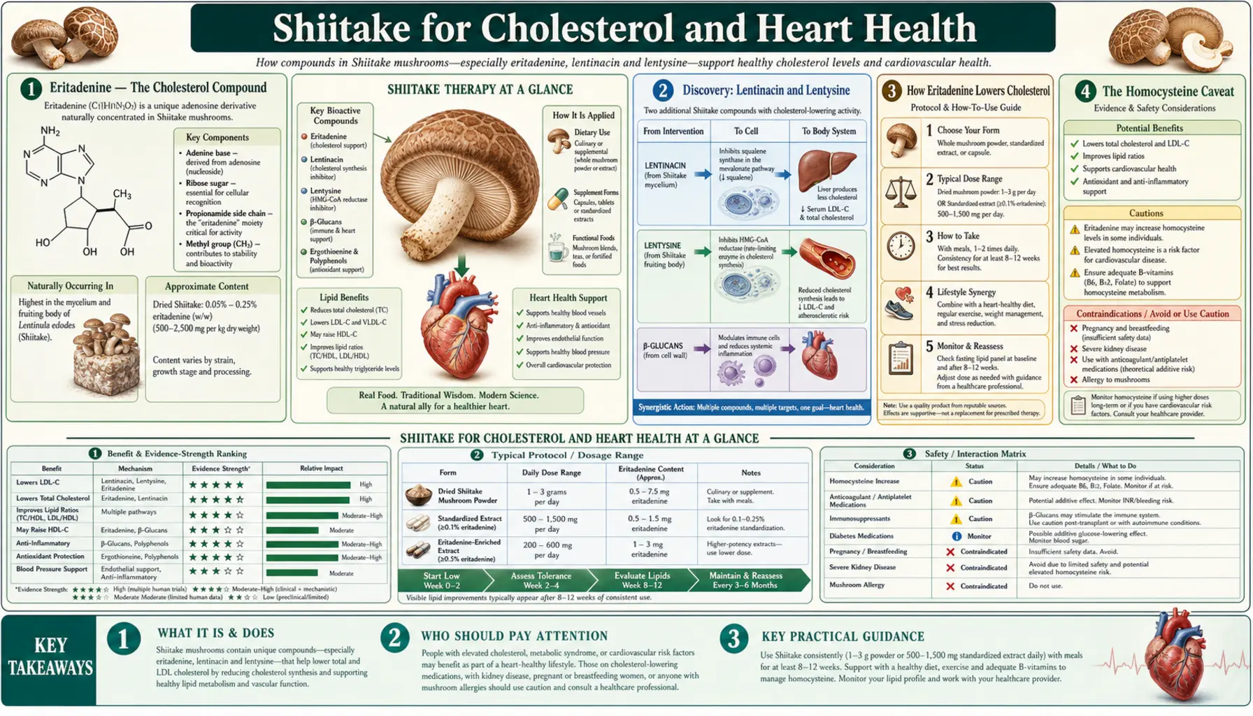 Cholesterol and Heart Health — scientific infographic poster