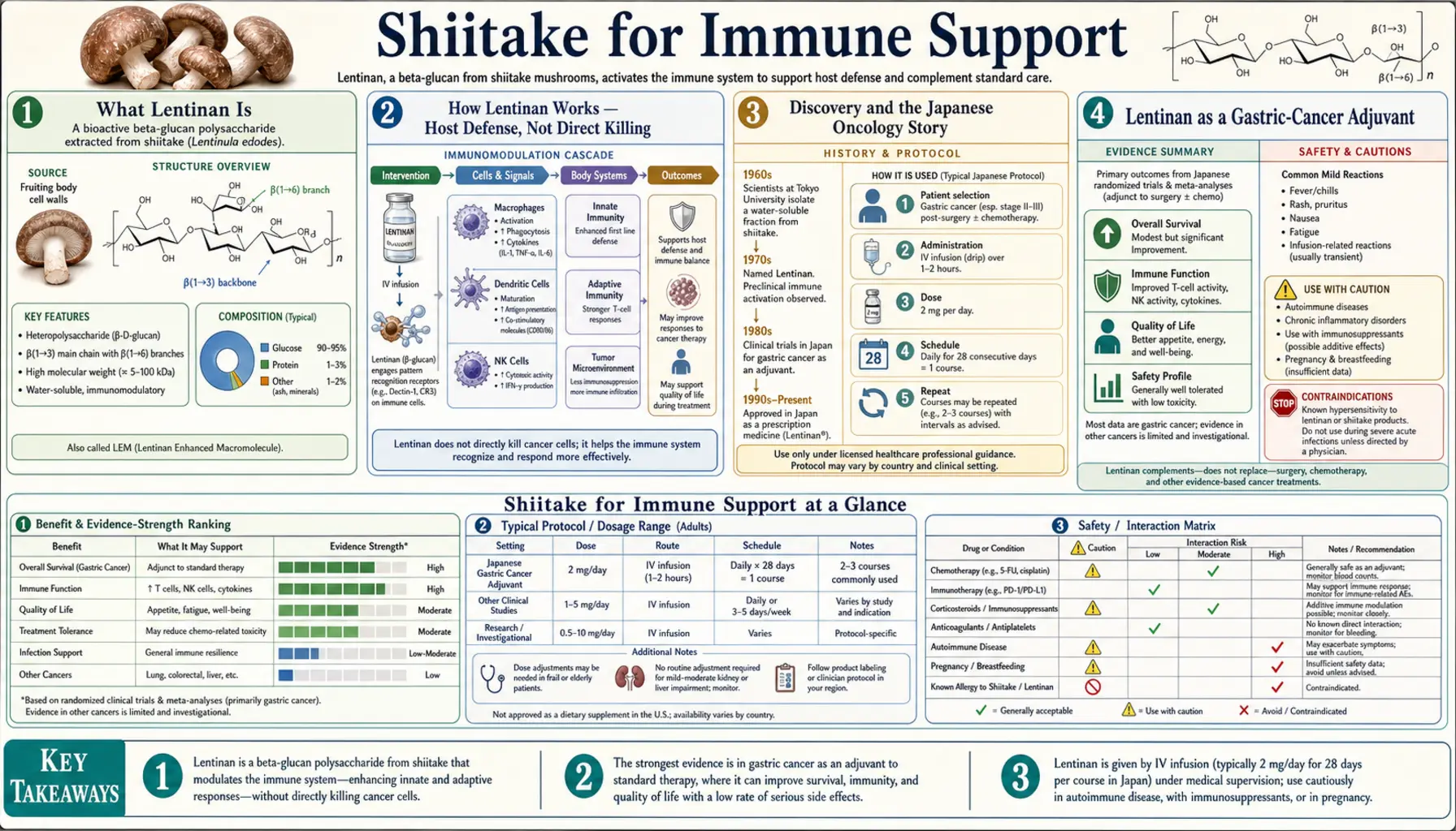 Immune Support — scientific infographic poster