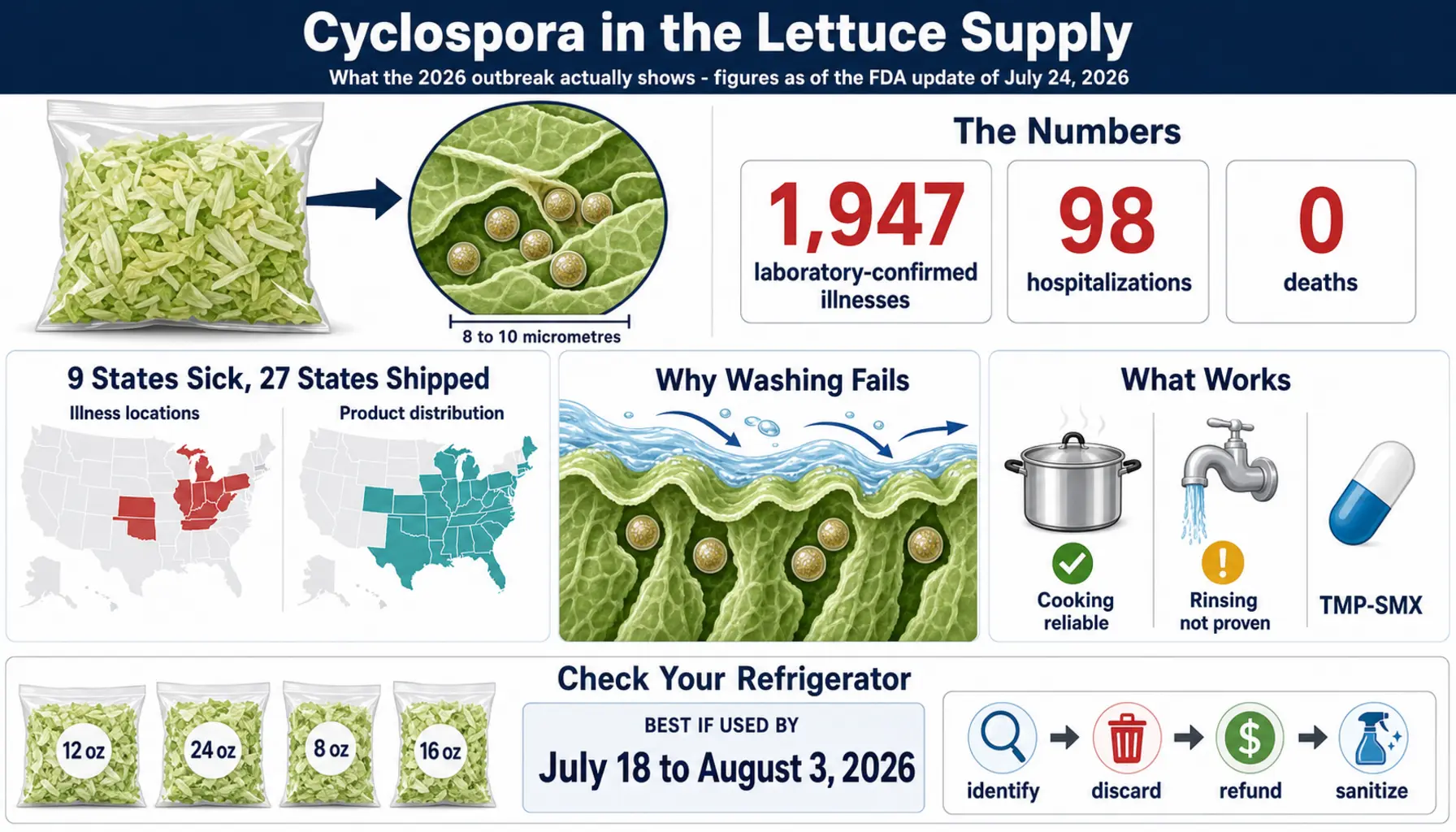 2026 07 26 — scientific infographic poster