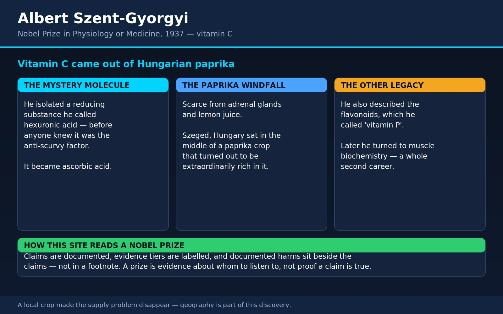 Albert Szent Gyorgyi — scientific infographic poster