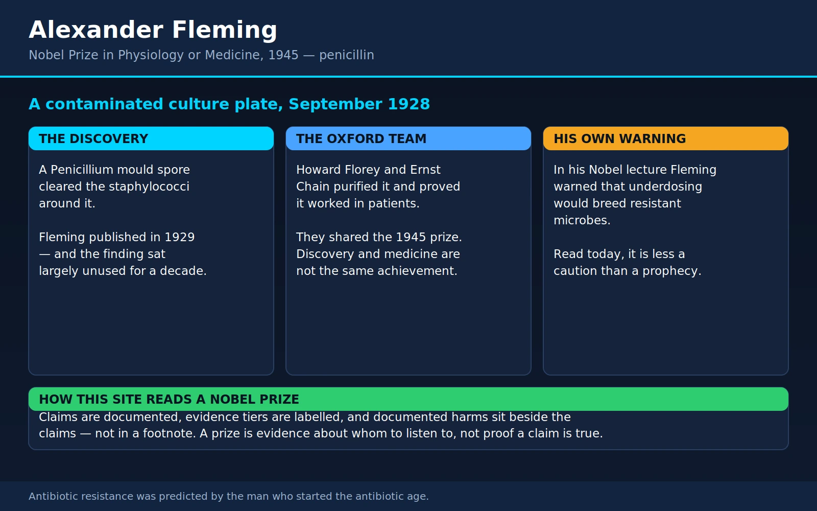 Alexander Fleming — scientific infographic poster