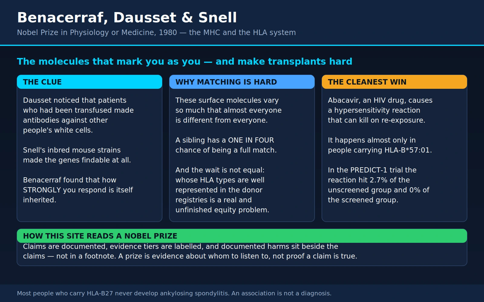 Benacerraf Dausset Snell — scientific infographic poster