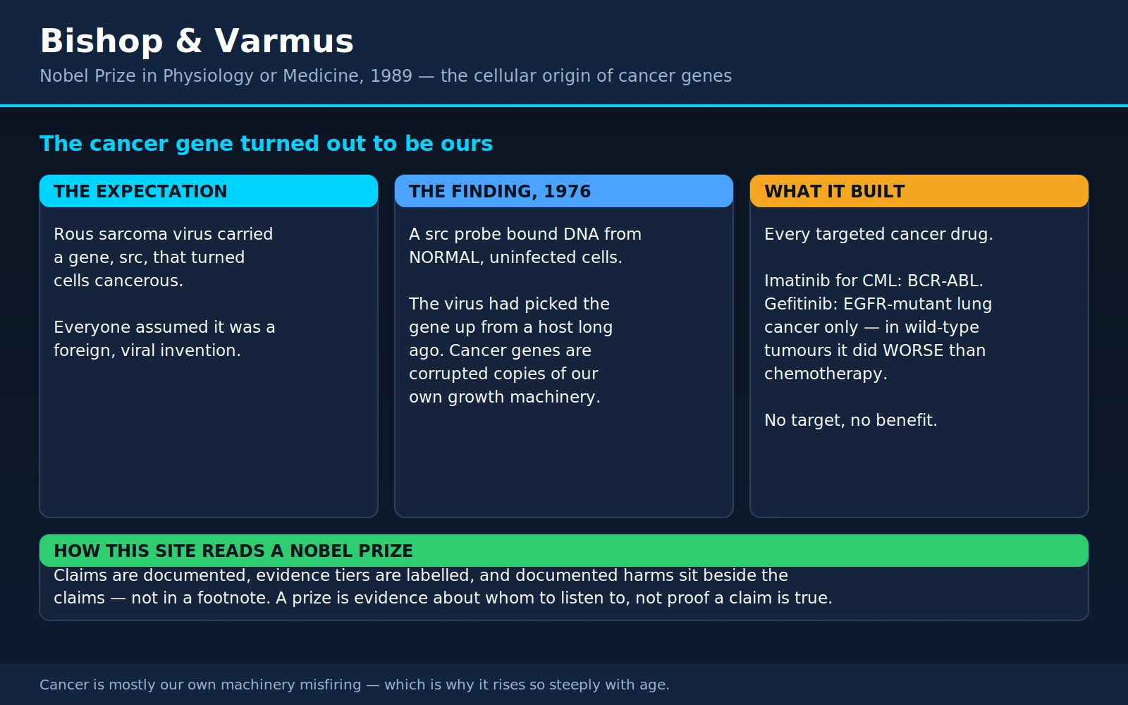 Bishop Varmus — scientific infographic poster