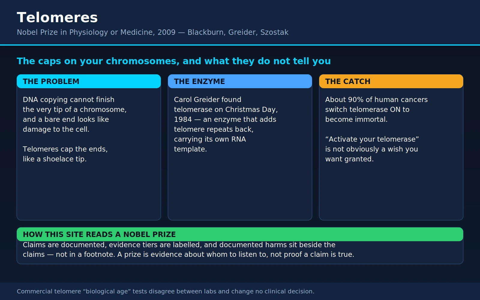 Blackburn Greider Szostak — scientific infographic poster