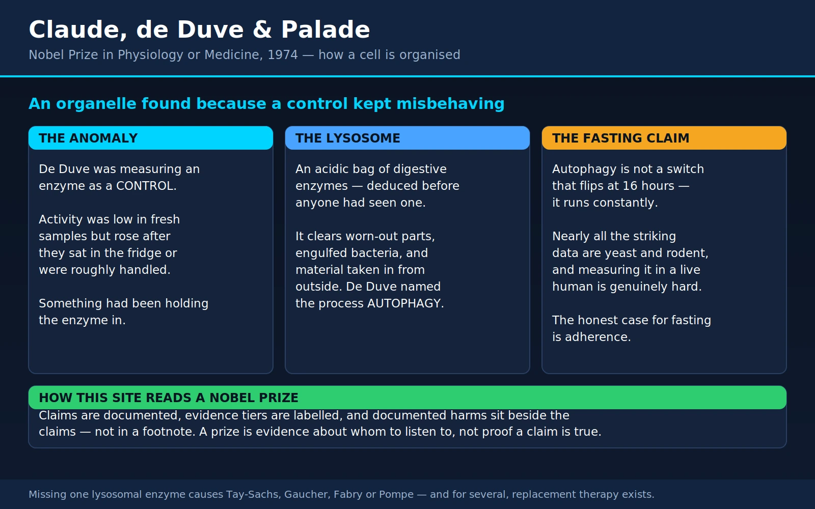 Claude deDuve Palade — scientific infographic poster