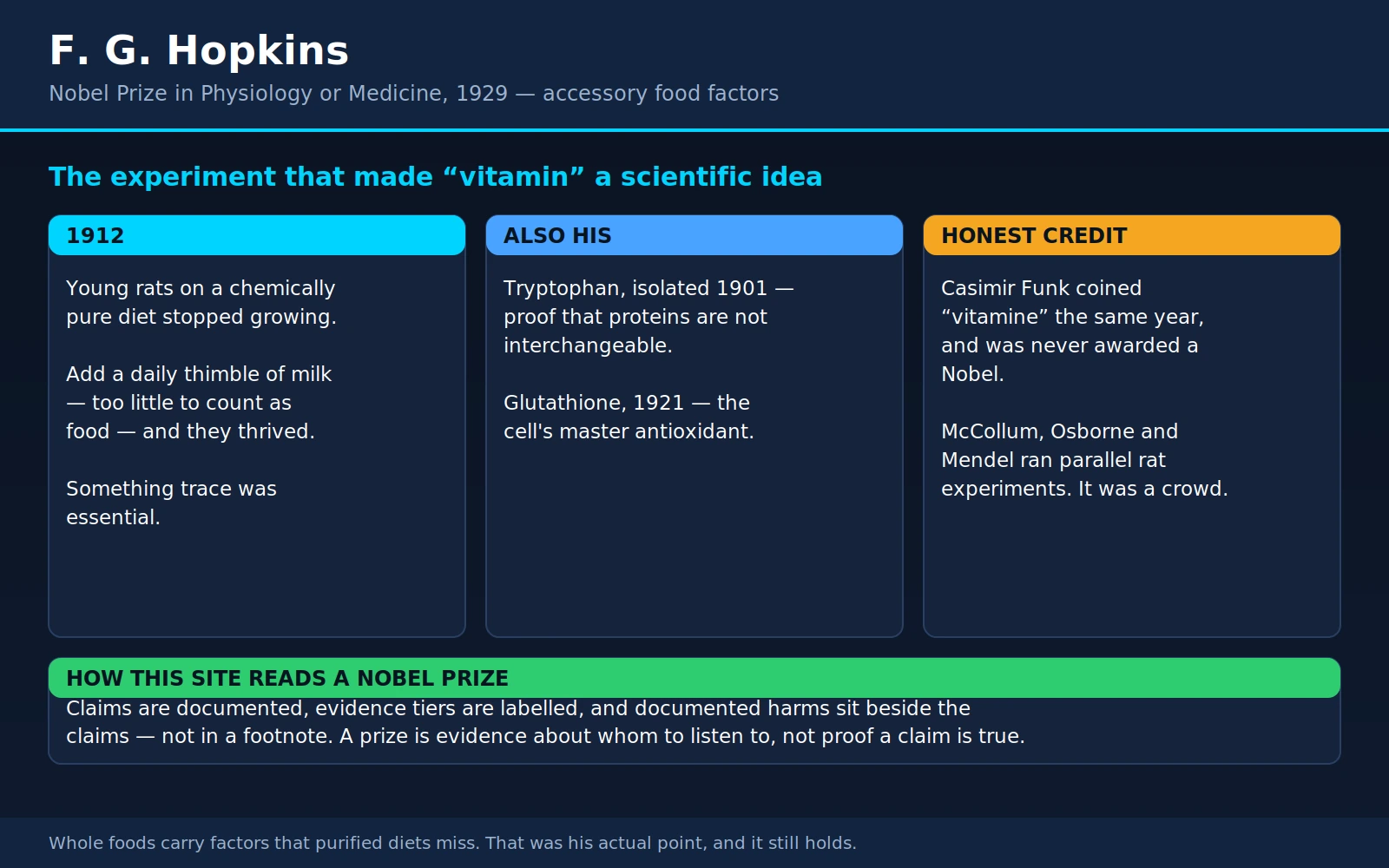 Frederick Gowland Hopkins — scientific infographic poster