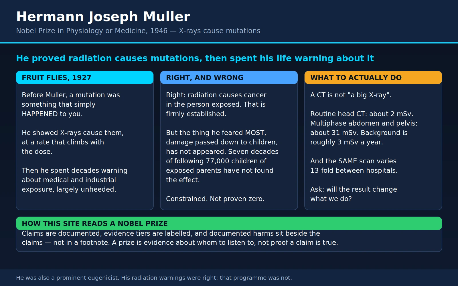 Hermann Muller — scientific infographic poster