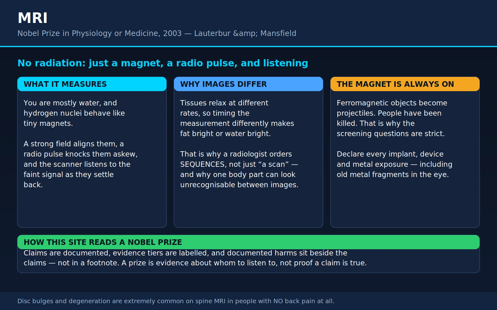 Lauterbur Mansfield — scientific infographic poster