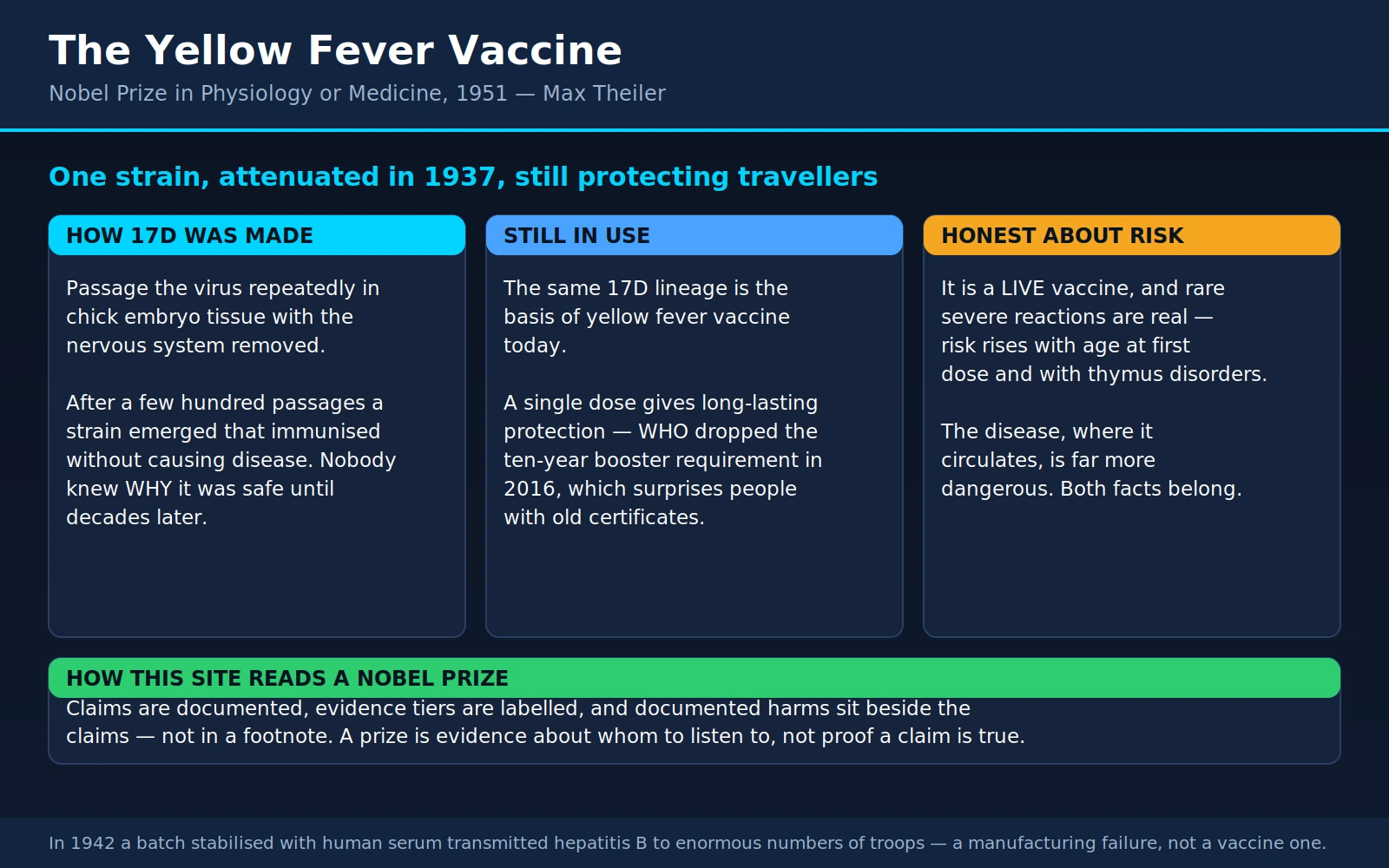 Max Theiler — scientific infographic poster