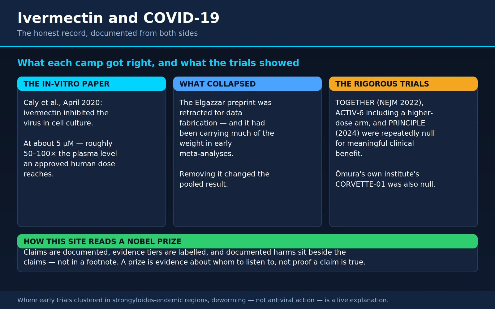 Ivermectin Covid Controversy — scientific infographic poster