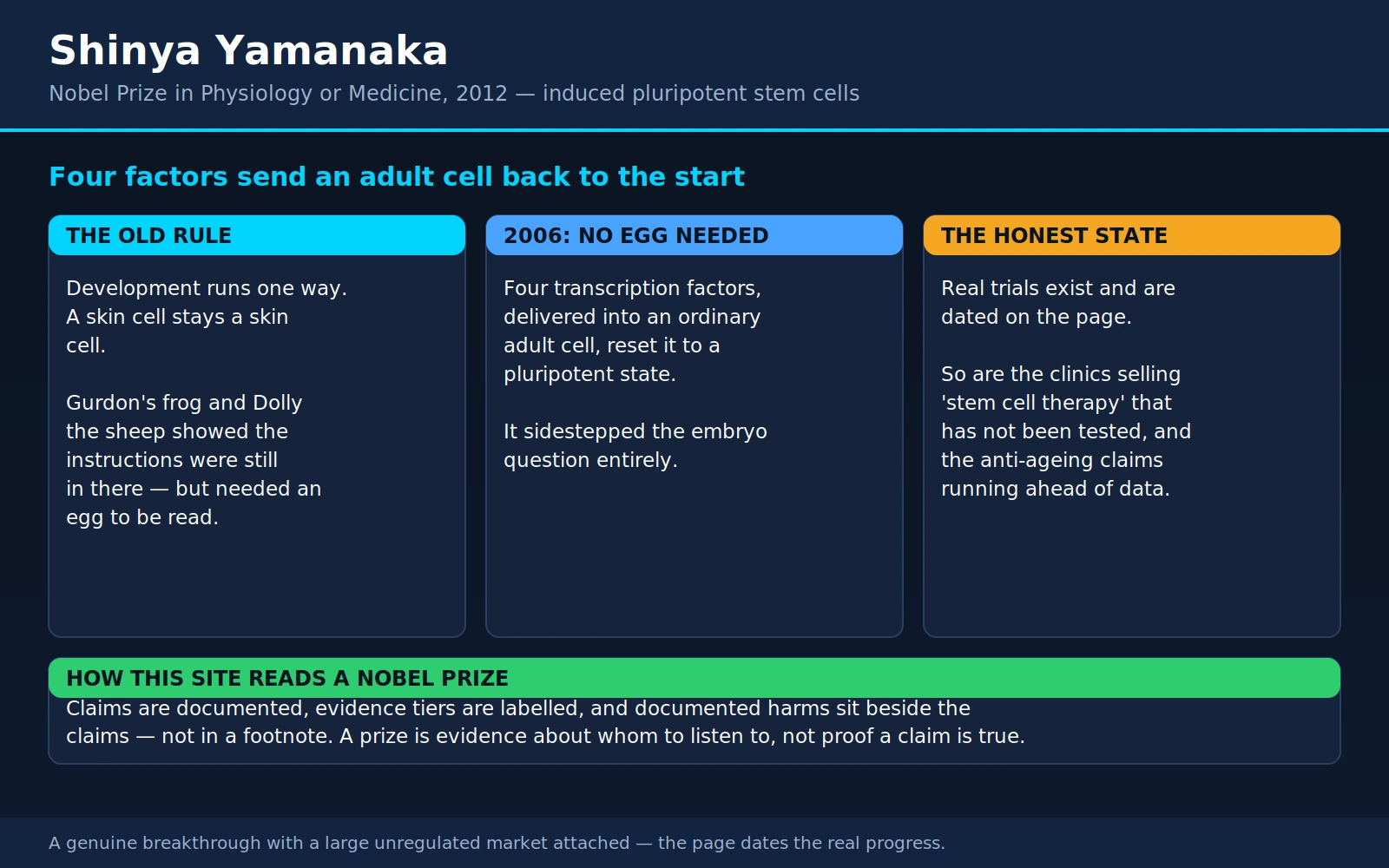 Shinya Yamanaka — scientific infographic poster