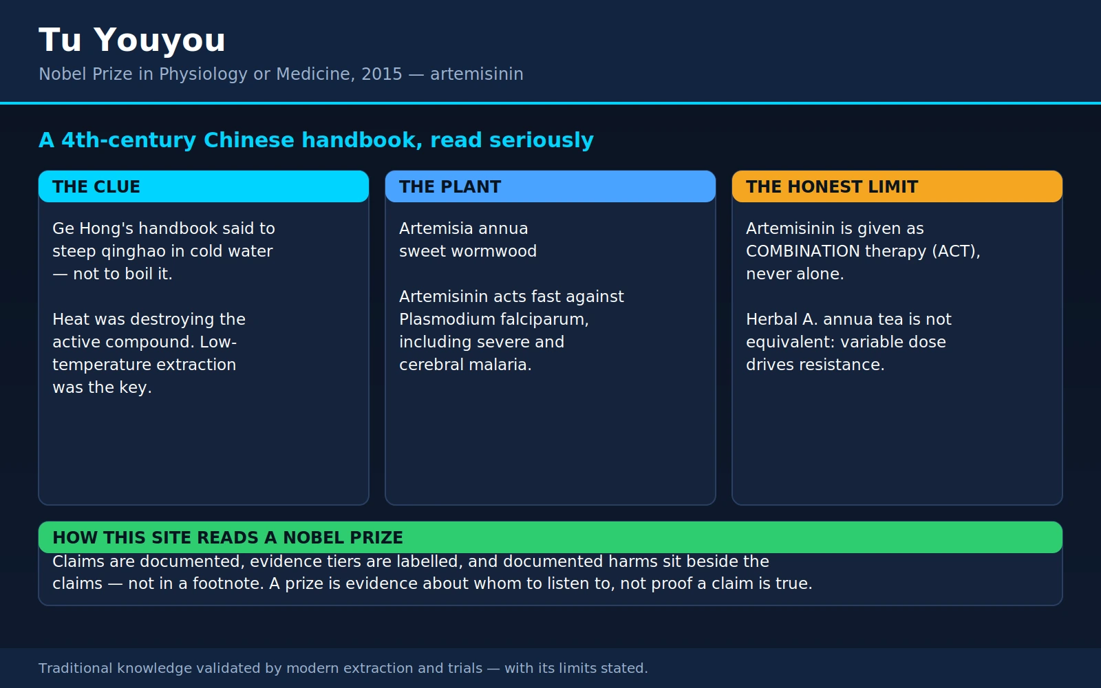 Tu Youyou — scientific infographic poster