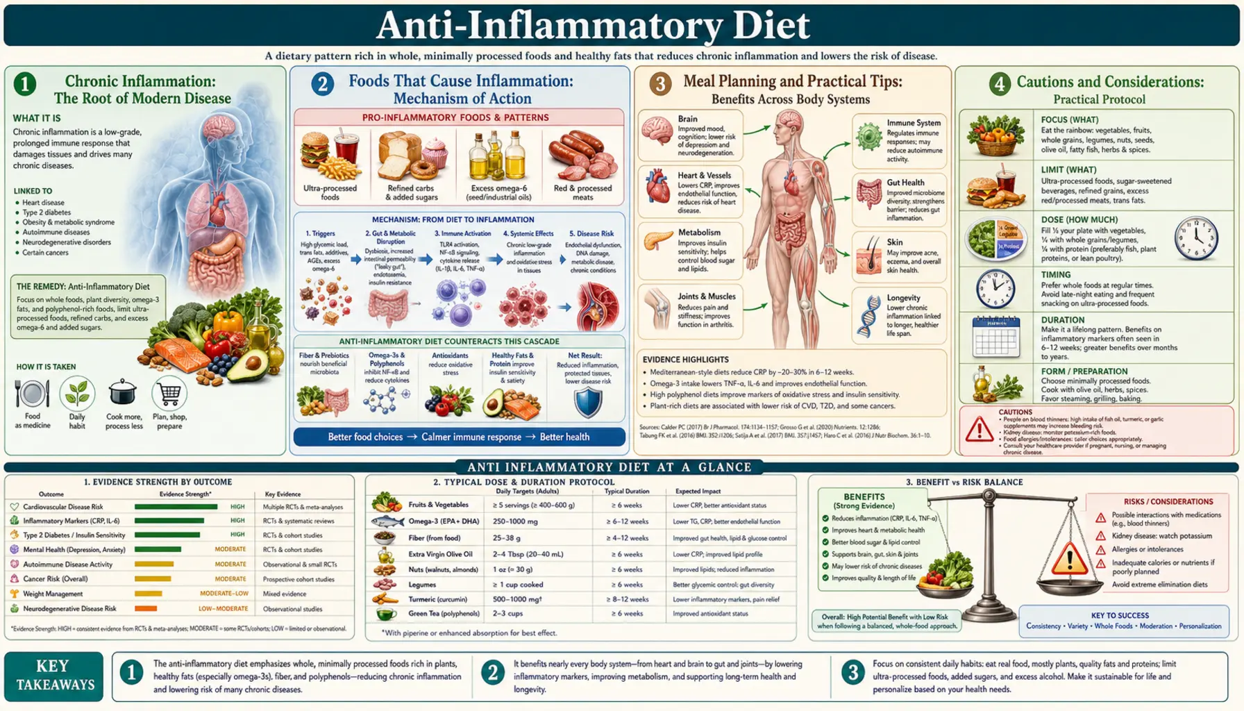 Anti Inflammatory Diet — scientific infographic poster