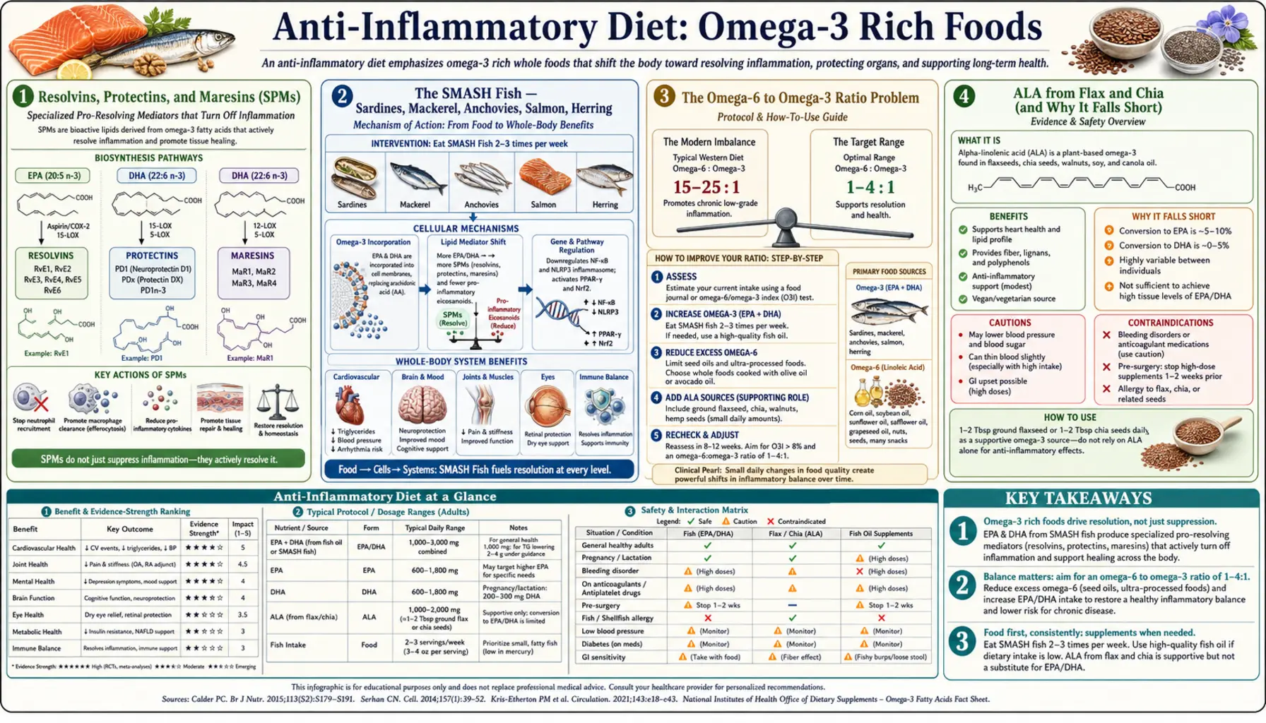 Omega 3 Rich Foods — scientific infographic poster