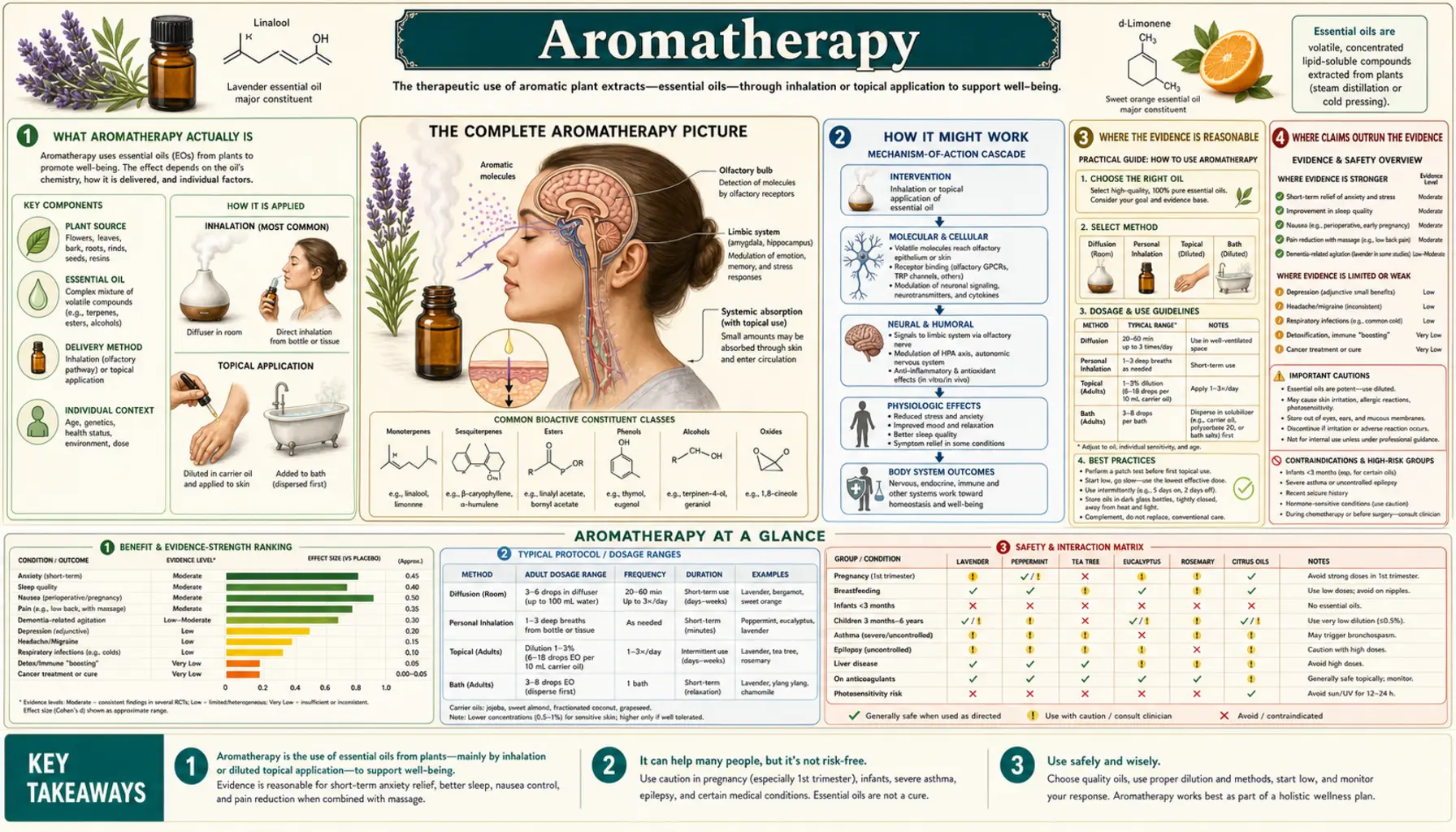 Aromatherapy — scientific infographic poster