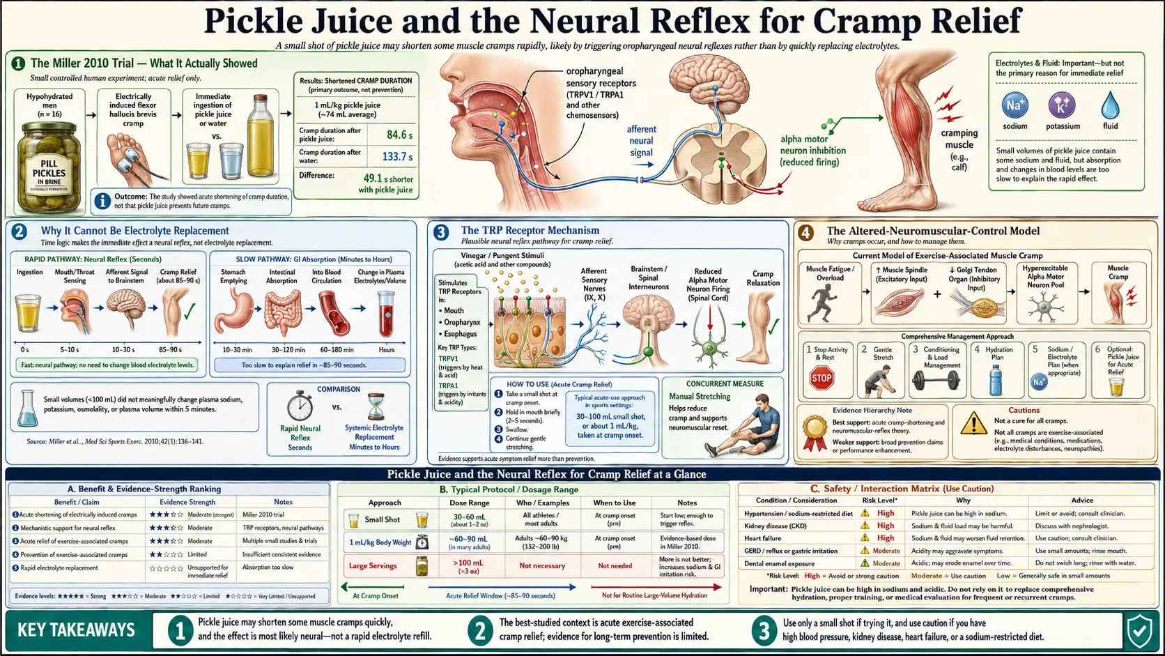 Pickle Juice and the Neural Reflex — scientific infographic poster