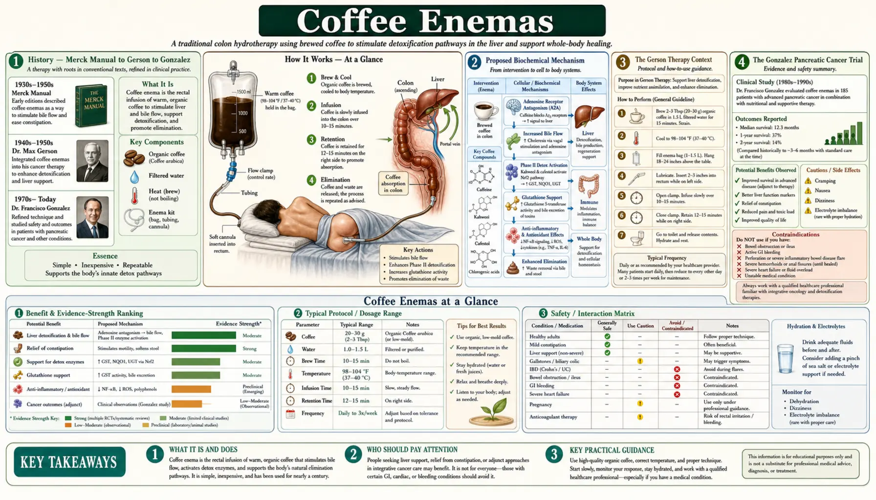 Coffee Enemas — scientific infographic poster