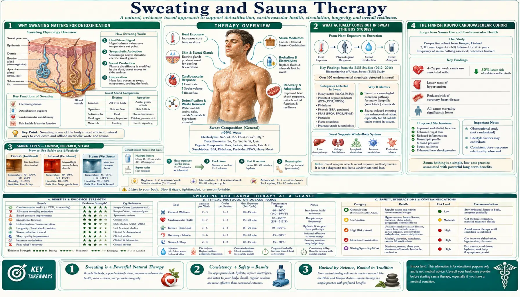 Sweating and Sauna Therapy — scientific infographic poster
