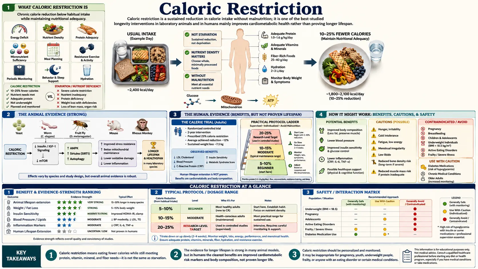 Caloric Restriction — scientific infographic poster