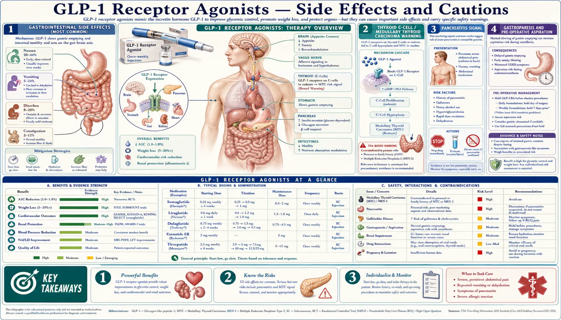 Side Effects and Cautions — scientific infographic poster
