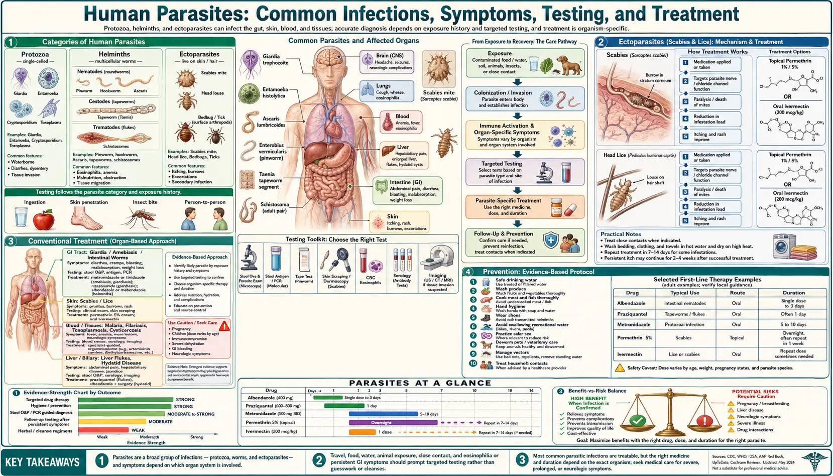 Parasites — scientific infographic poster