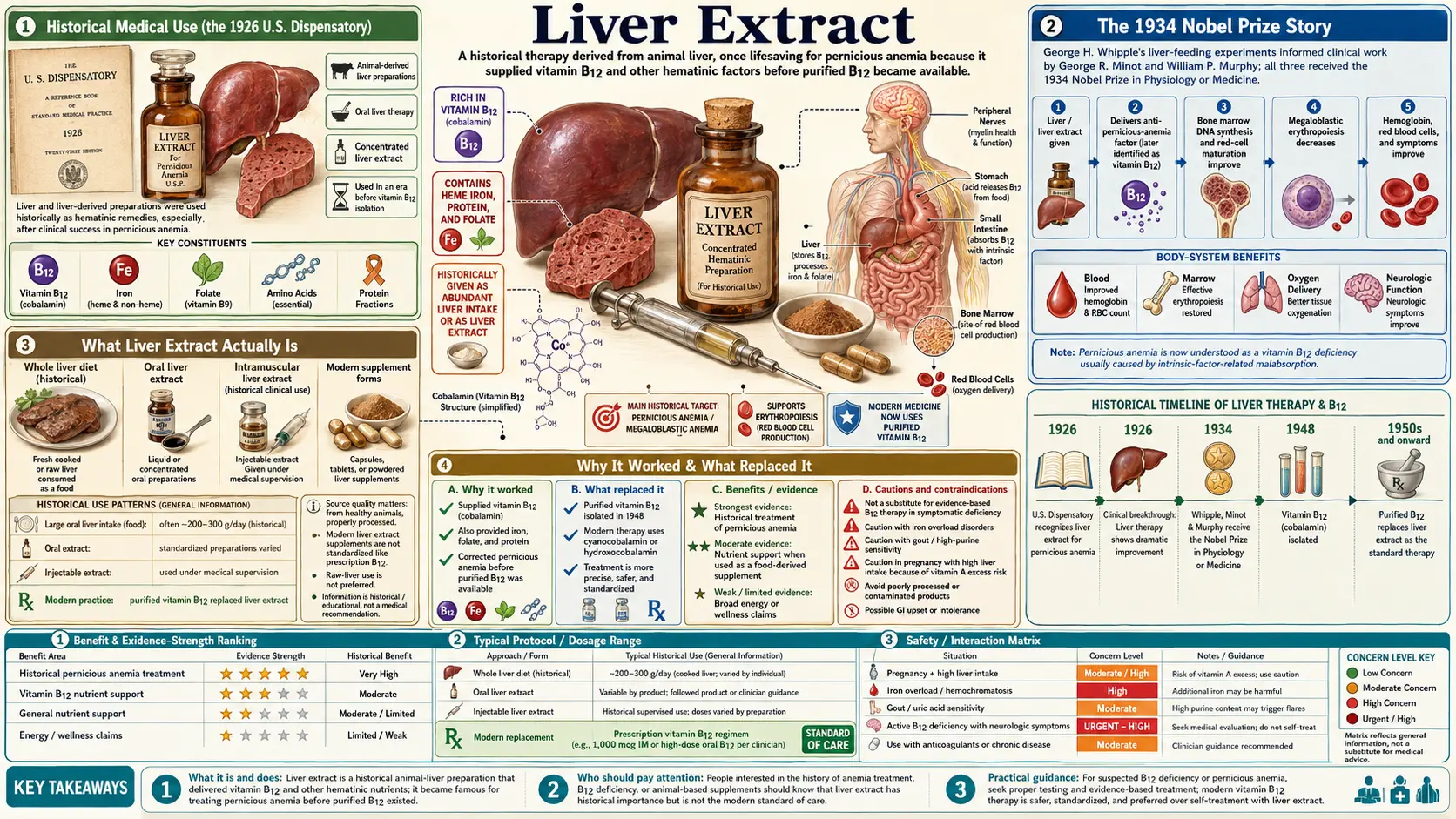 Liver Extract — scientific infographic poster