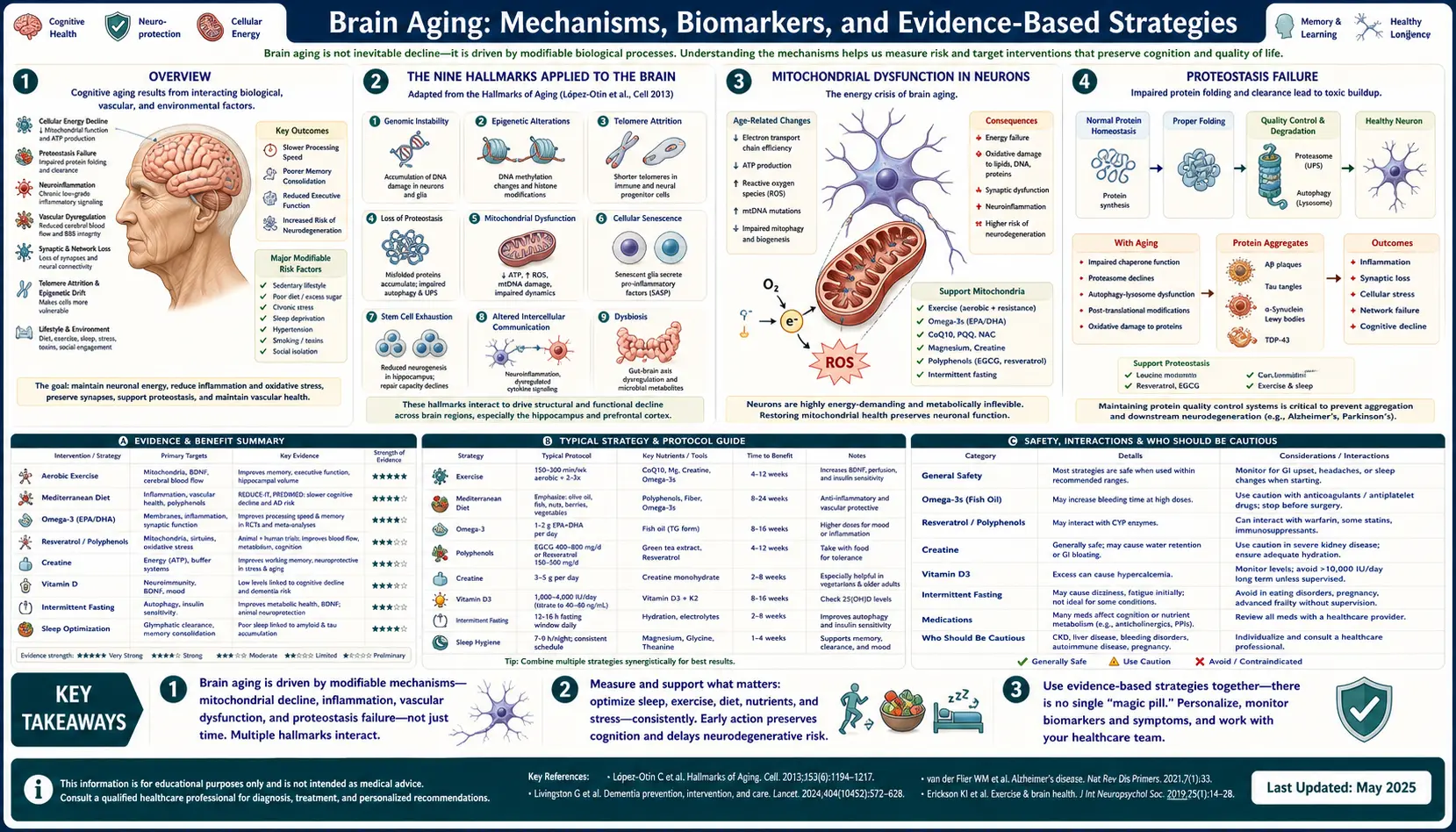 Brain Aging — scientific infographic poster