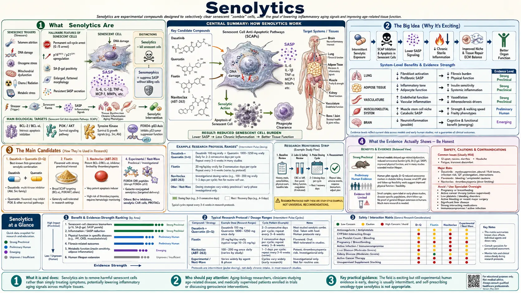 Senolytics — scientific infographic poster