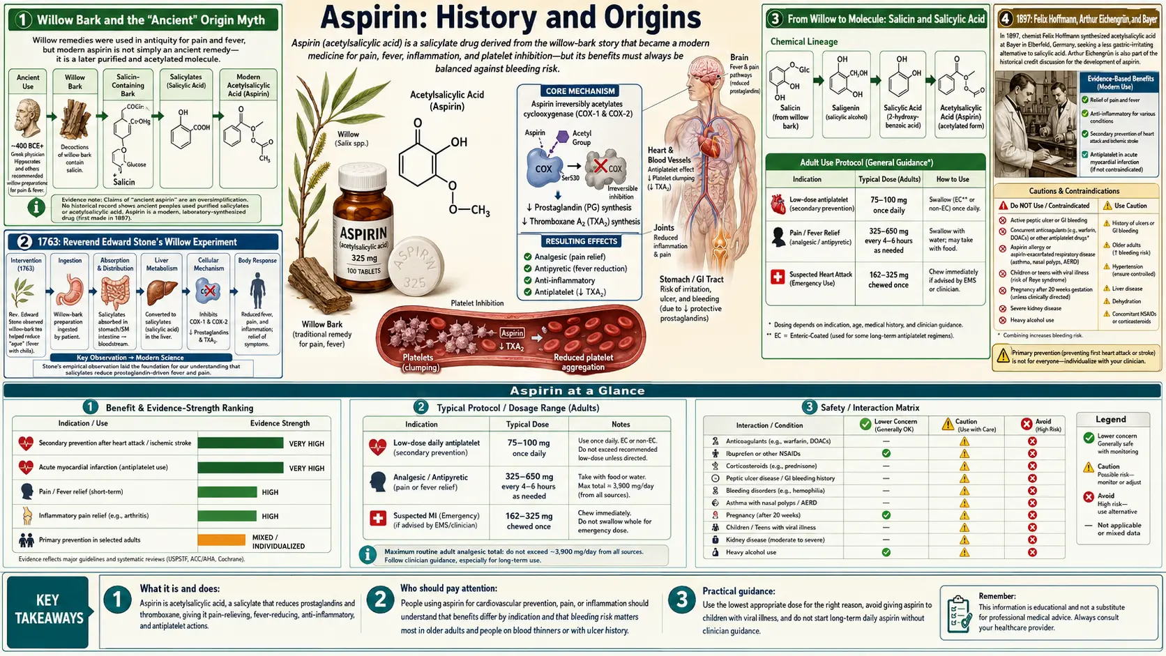 History — scientific infographic poster