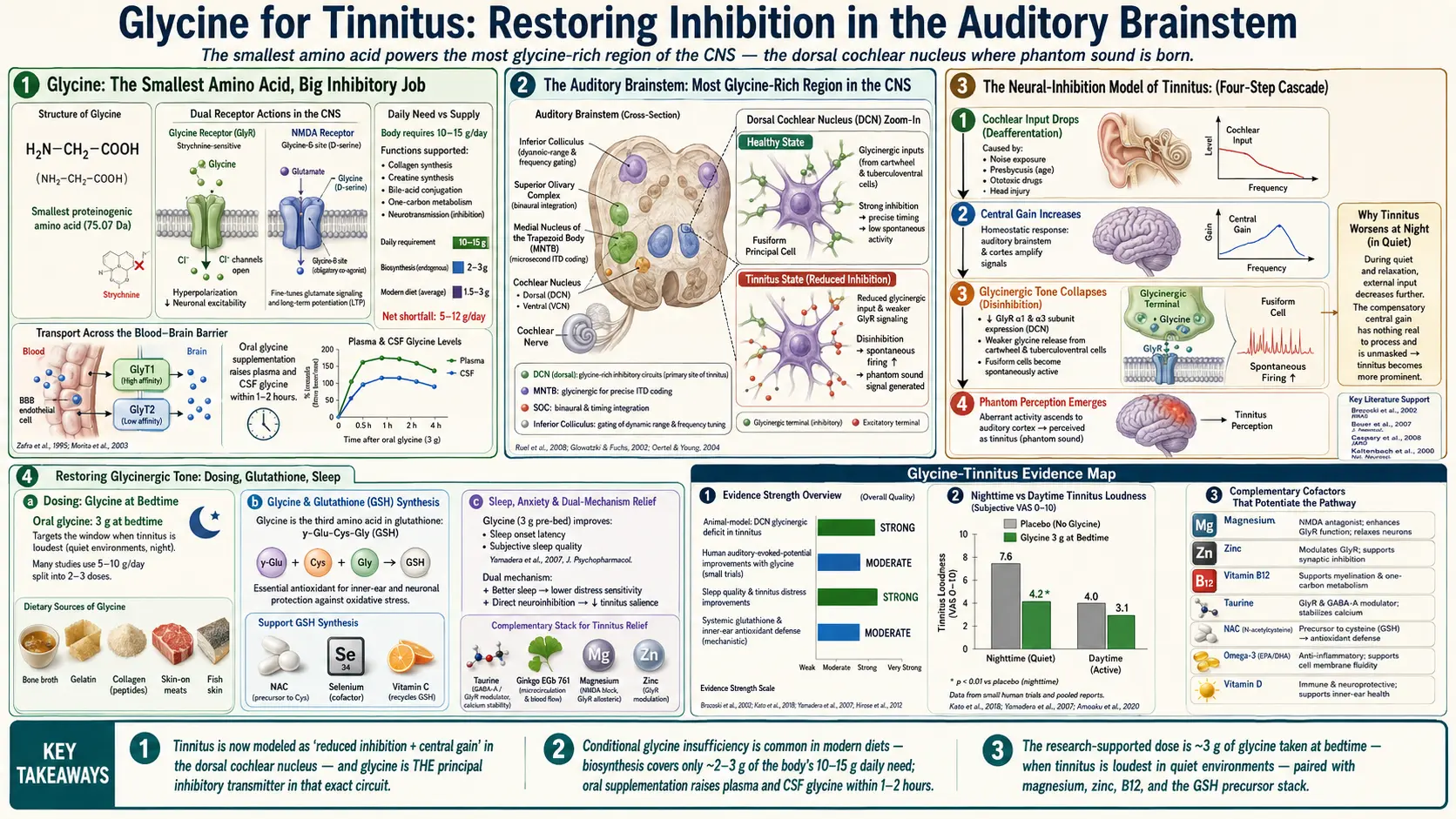 Glycine — scientific infographic poster
