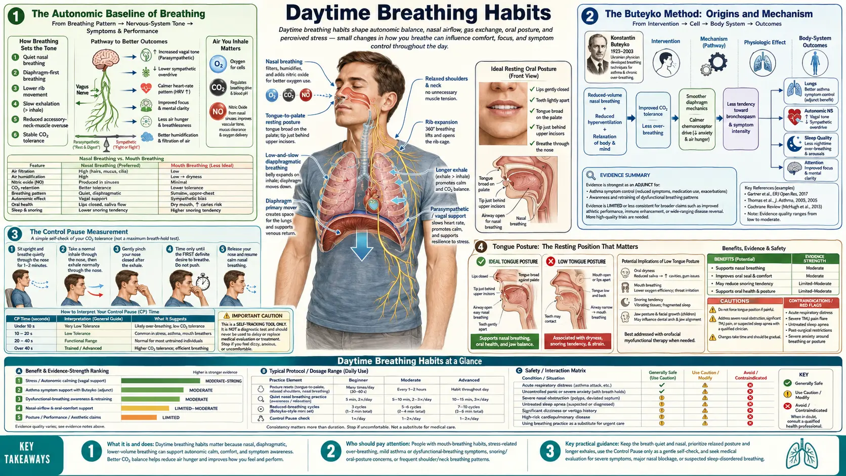 Daytime Breathing Habits — scientific infographic poster