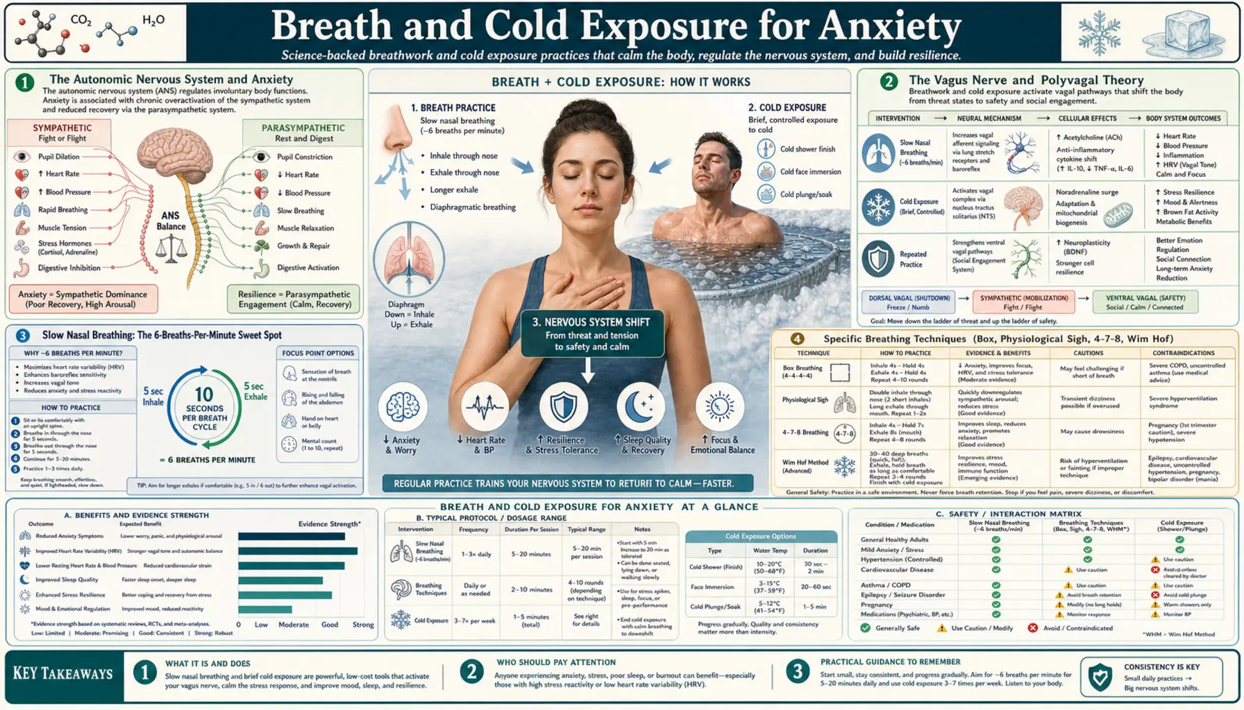 Breath and Cold Exposure — scientific infographic poster