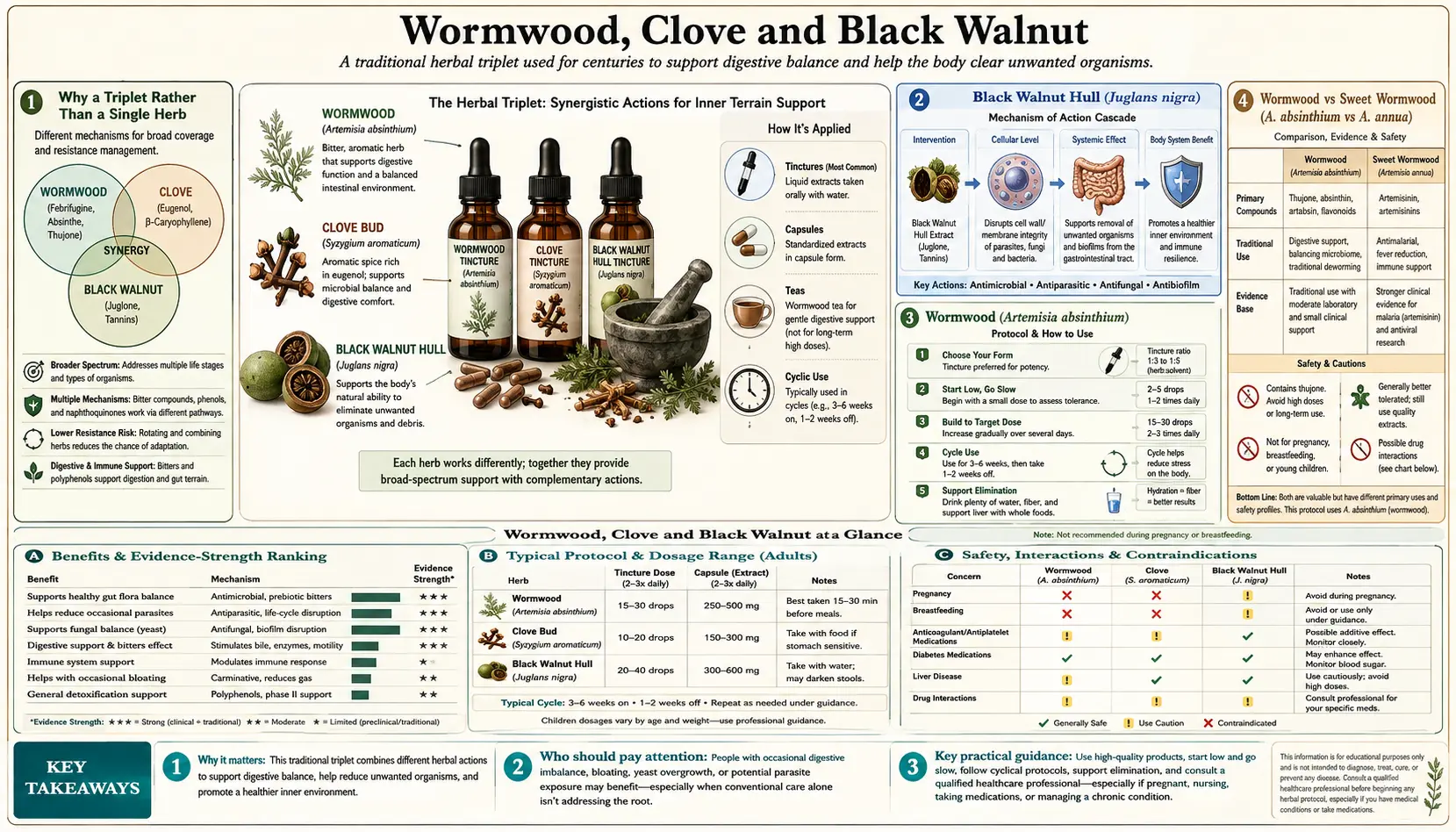Wormwood Clove and Black Walnut — scientific infographic poster